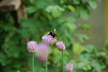 Similar image 21129512