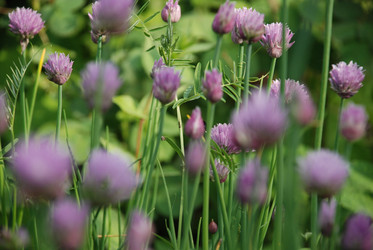 Similar image 21129516