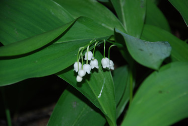 Similar image 21129517