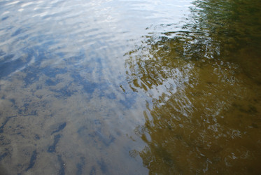 Similar image 21129520