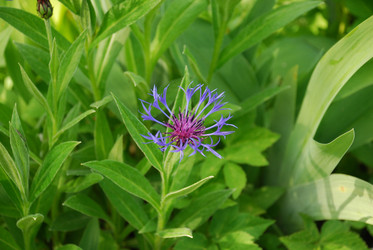 Similar image 21129521