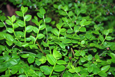 Similar image 21129523