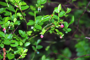 Similar image 21129524