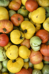 Similar image 21119352