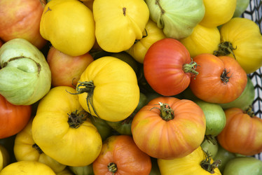 Similar image 21119353