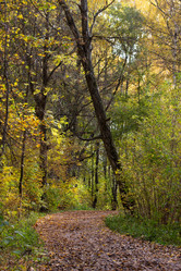 Similar image 21118487