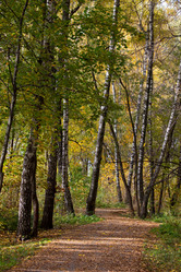 Similar image 21118488