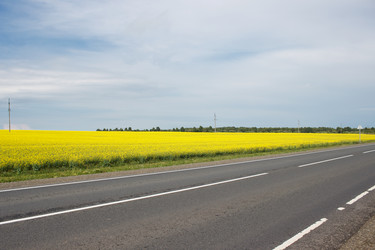 Similar image 21125729