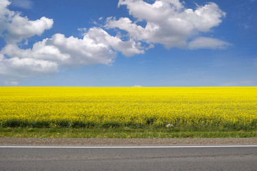 Similar image 21125730