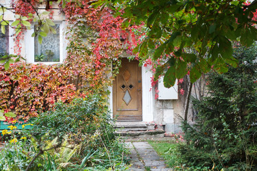 Similar image 21124751