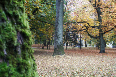 Similar image 21124754