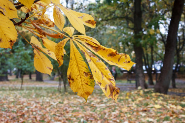 Similar image 21124755