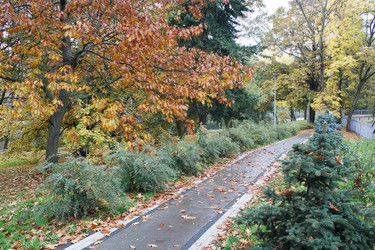 Similar image 21124757