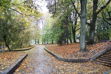 Similar image 21124760