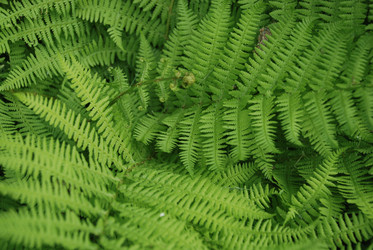 Similar image 21129940