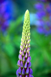 Similar image 21129941