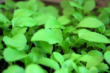 Similar image 21129942