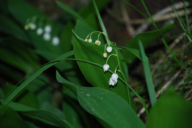 Similar image 21129944