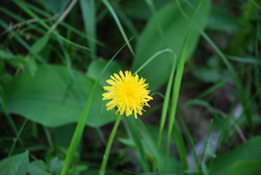 Similar image 21129945