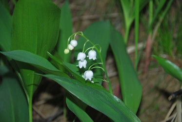 Similar image 21129947