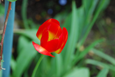 Similar image 21129948