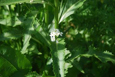 Similar image 21129949