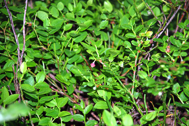 Similar image 21129951