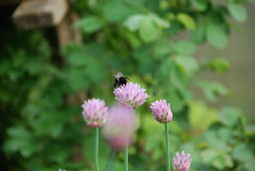 Similar image 21129955