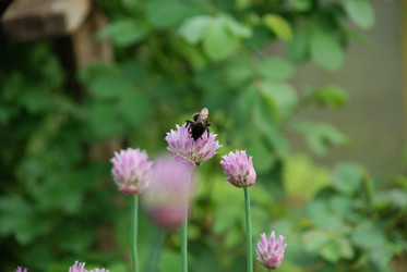 Similar image 21129956