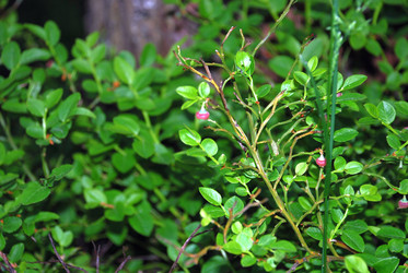 Similar image 21129958