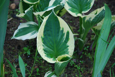 Similar image 21129959