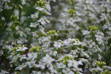 Similar image 21129964