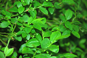 Similar image 21129965