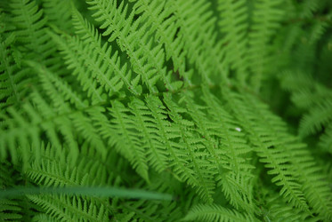 Similar image 21129966