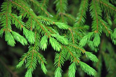 Similar image 21129967