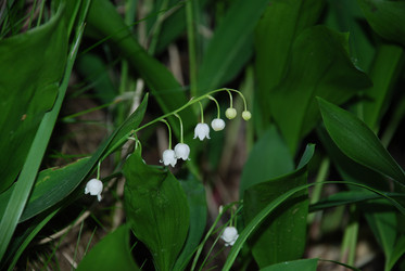 Similar image 21129968