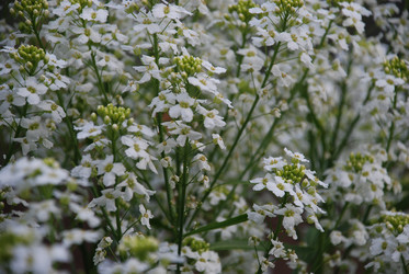 Similar image 21129969