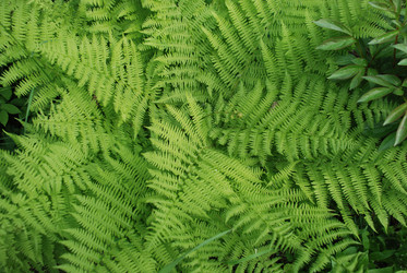 Similar image 21129970