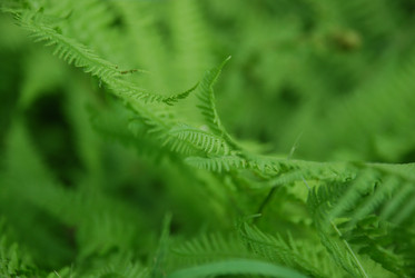 Similar image 21129975