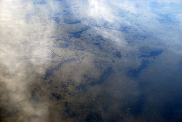 Similar image 21129978