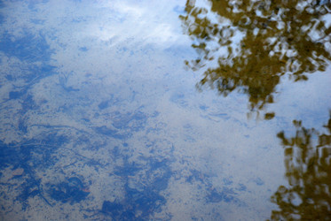 Similar image 21129979