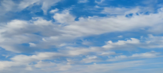 Similar image 21129981