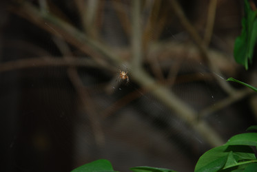 Similar image 21129982