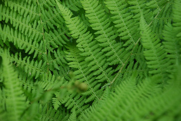 Similar image 21129983