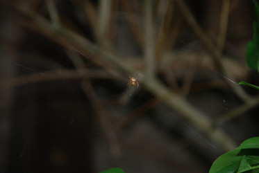 Similar image 21129984