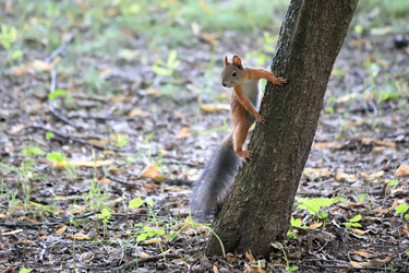 Similar image 21122829