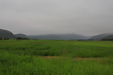 Similar image 21119958