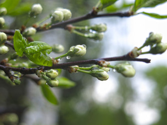 Similar image 21120155