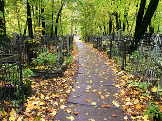 Similar image 21119967