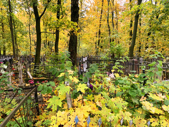 Similar image 21119972